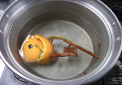 �I�����W�̔�ƃV�i�����X�e�B�b�N�����č�����o���܂��B